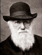 Bertalanffy.png